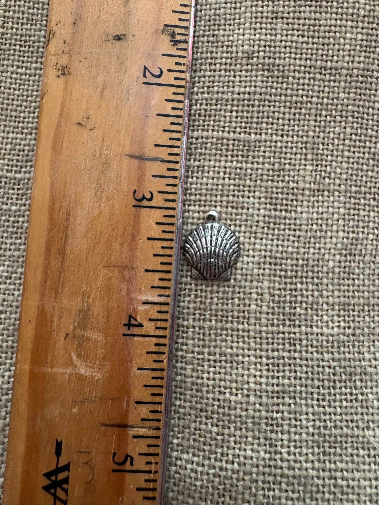 Small clam shell charm next to ruler for measurement