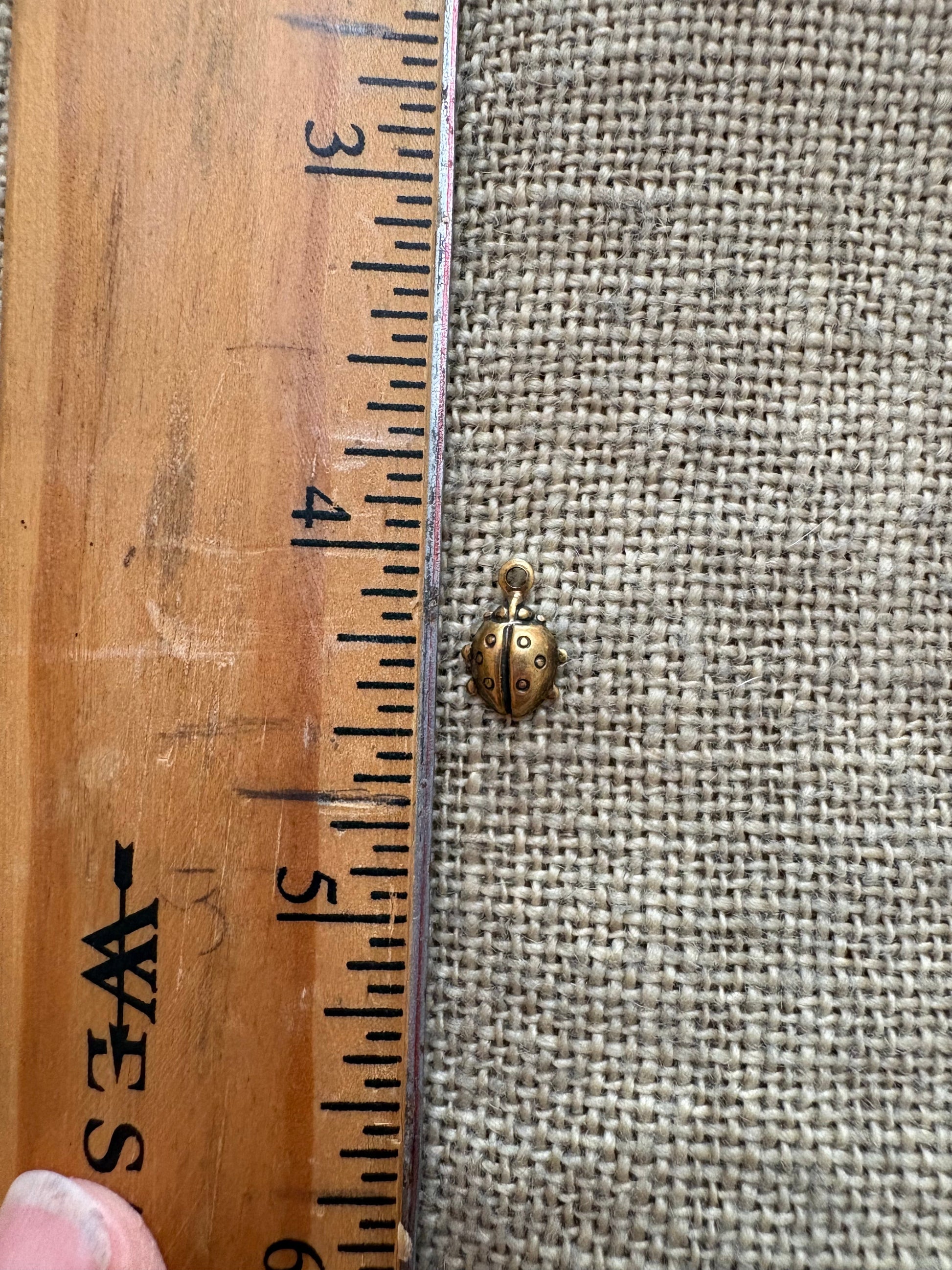 Small lady bug charm next to ruler for measurement