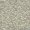 Mill Hill Petite Glass Beads 42010 - Maple Grove Needleworks